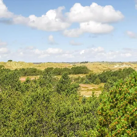 Bv387-blavand-hedetoftvej-14